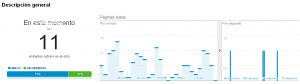 Google Analytics Real Time | Blog Veiss