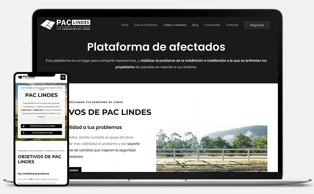 Plataforma de Afectados por Conflictos de Lindes